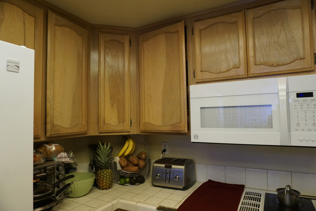 DSC01154-1024x683